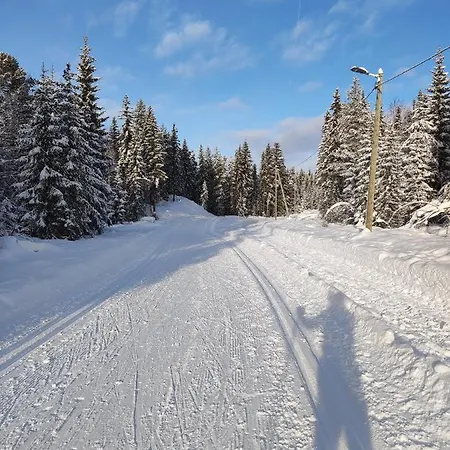 Nordgards Hagen Lillehammer