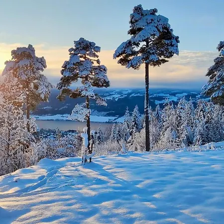 Nordgards Hagen * Lillehammer